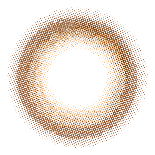 PUDDING FOMOMY Shine Brown | 1 Day, 10 Pcs