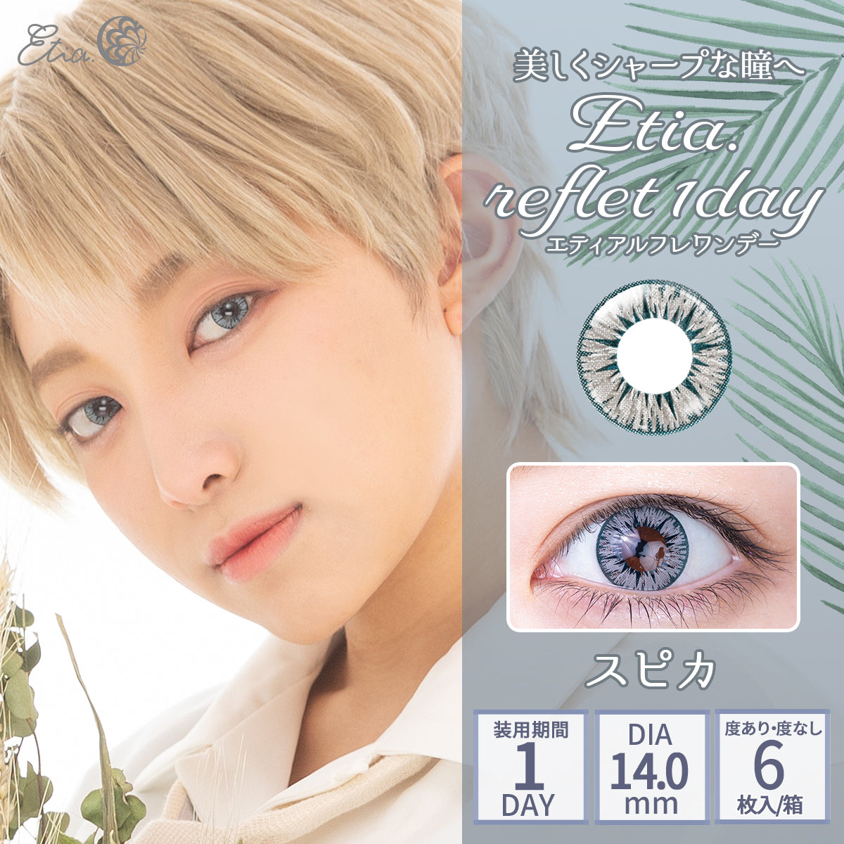 PUDDING Etia Reflet Spica | 1 Day, 6 Pcs