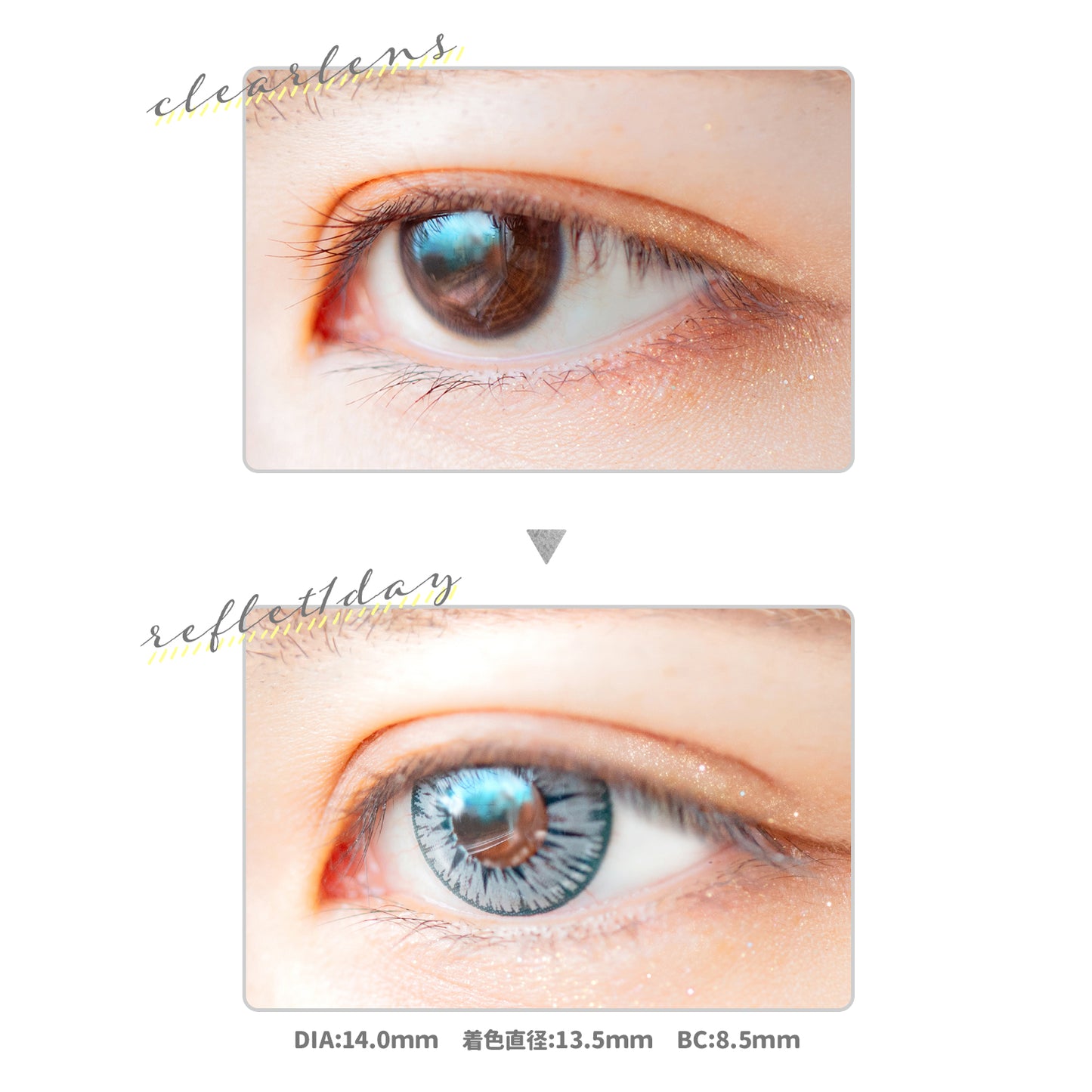 PUDDING Etia Reflet Spica | 1 Day, 6 Pcs