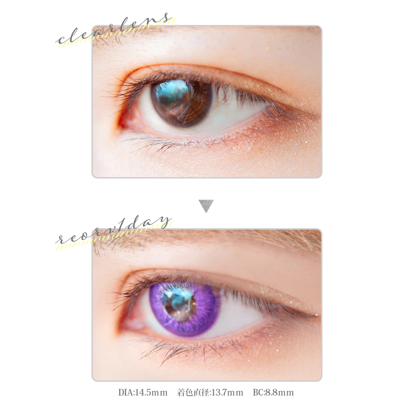 PUDDING Etia Reorv Charoite | 1 Day, 10 Pcs