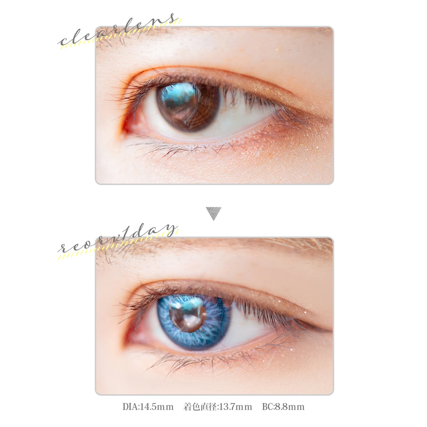 PUDDING Etia Reorv Spinel | 1 Day, 10 Pcs