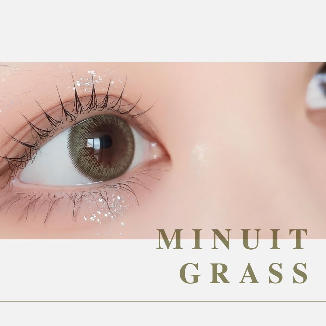 PUDDING envie Minuit Grass | 1 Day, 10 Pcs