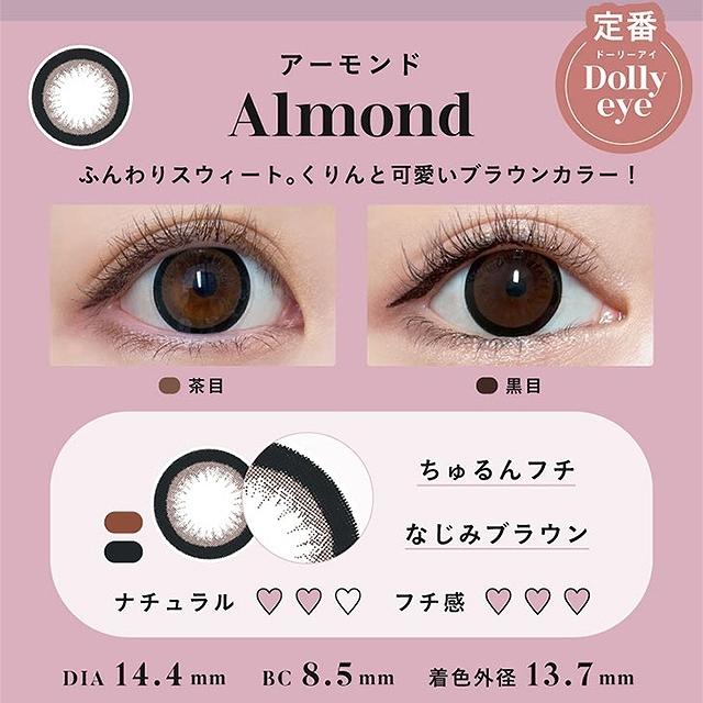 PUDDING Bambi Series Almond | 1 Day