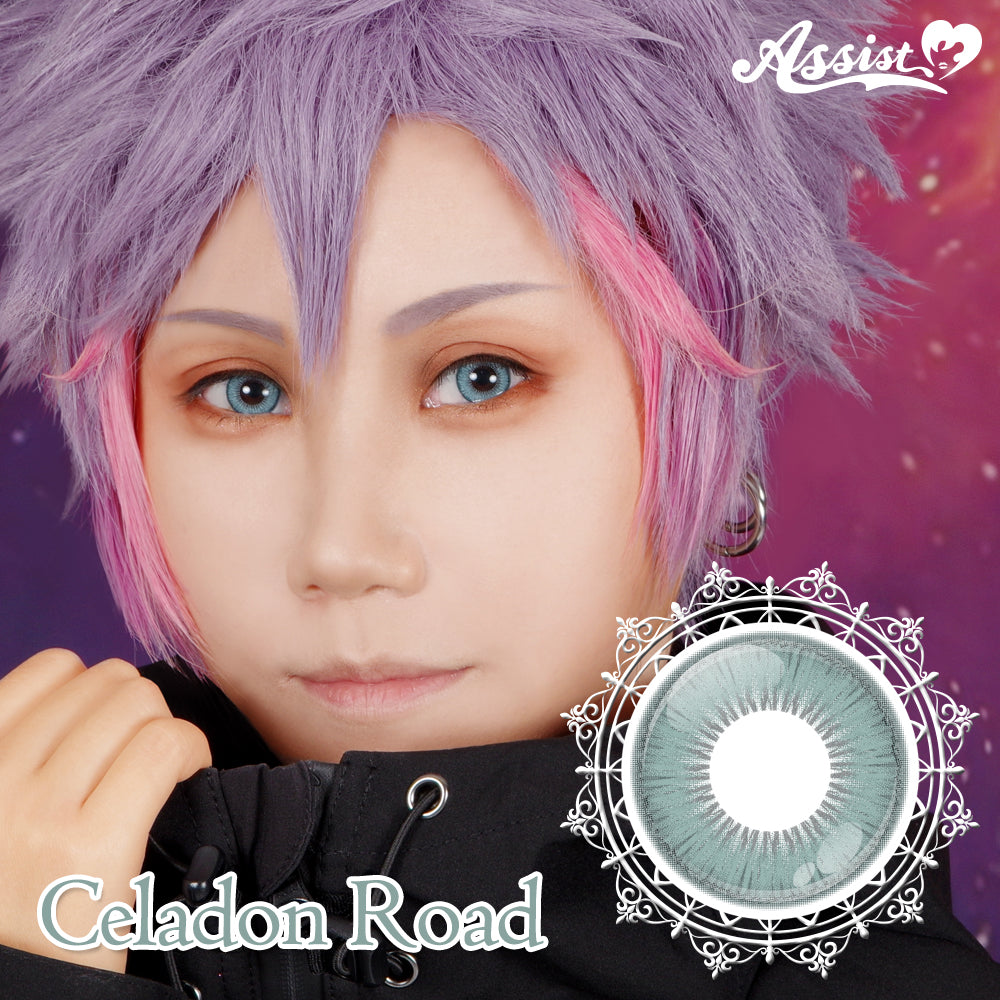 PUDDING Assist Shutella Celadon Road | 1 Day, 6 Pcs