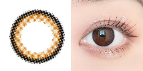 PUDDING envie Chameau Brown | 1 Day