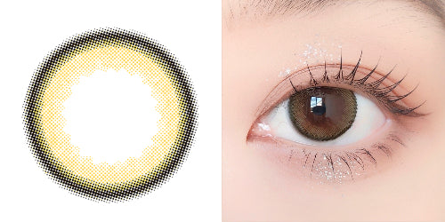 PUDDING envie Chameau Hazel | 1 Day, 10 Pcs