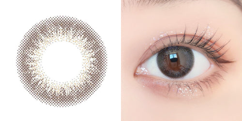 PUDDING envie Champagne Gray | 1 Day