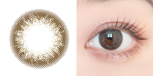 PUDDING envie Classic Umber | 1 Day