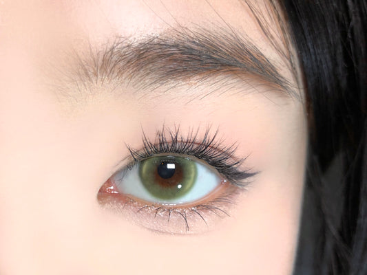 PUDDING BARRIEYES Fairy Olive | 1 Day, 6 Pcs