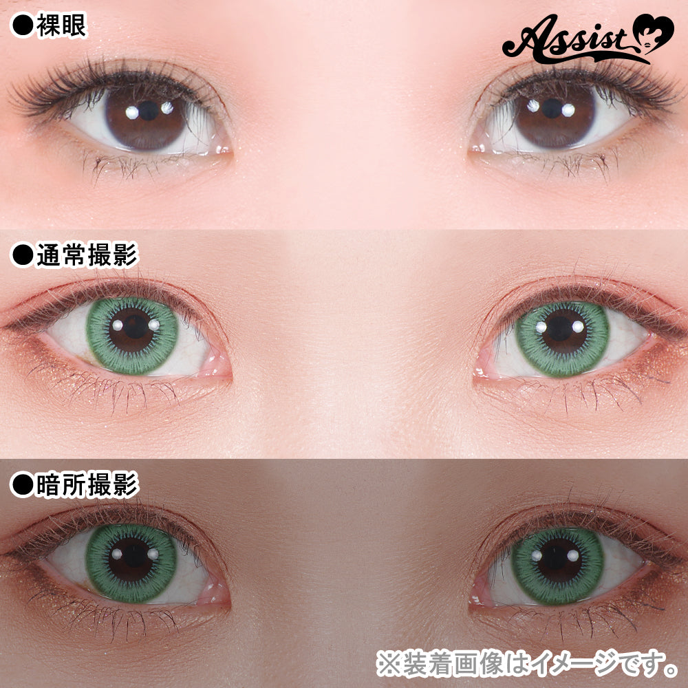 PUDDING Assist Shutella Go Clover | 1 Day, 6 Pcs