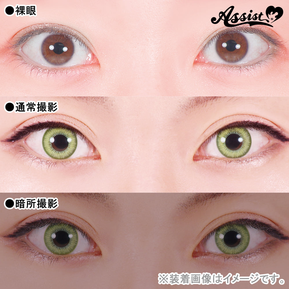 PUDDING Assist Shutella Green Misa | 1 Day, 6 Pcs