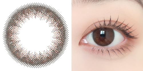 PUDDING envie Maroon Black | 1 Day, 10 Pcs