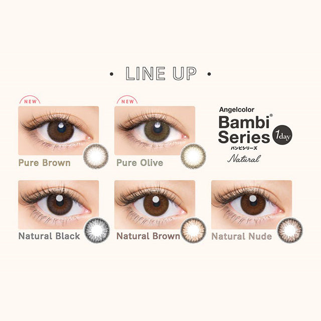 PUDDING Bambi Pure Brown | 1 Day, 10 Pcs