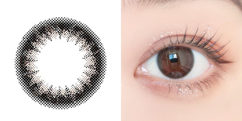 PUDDING envie Plum Black | 1 Day