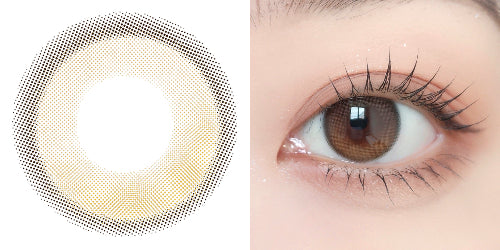 PUDDING envie Water Mocha Beige | 1 Day, 10 Pcs