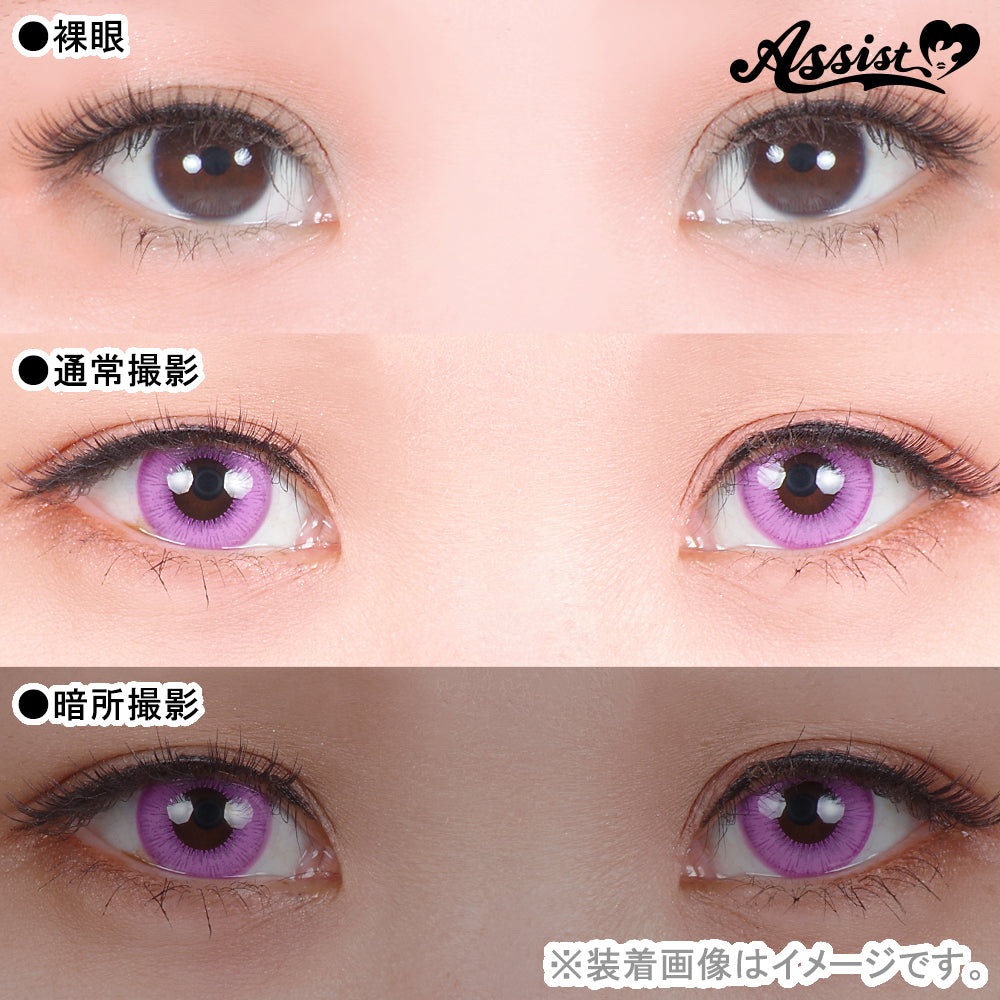 PUDDING Assist Shutella Wisteria Purple | 1 Day, 6 Pcs