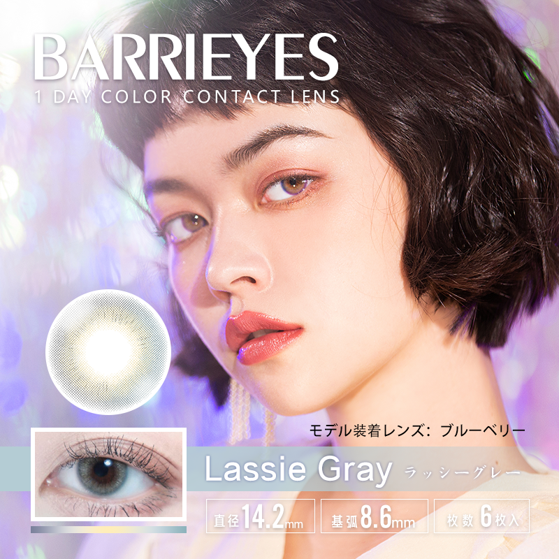 PUDDING BARRIEYES Lassie Gray | 1 Day, 6 Pcs