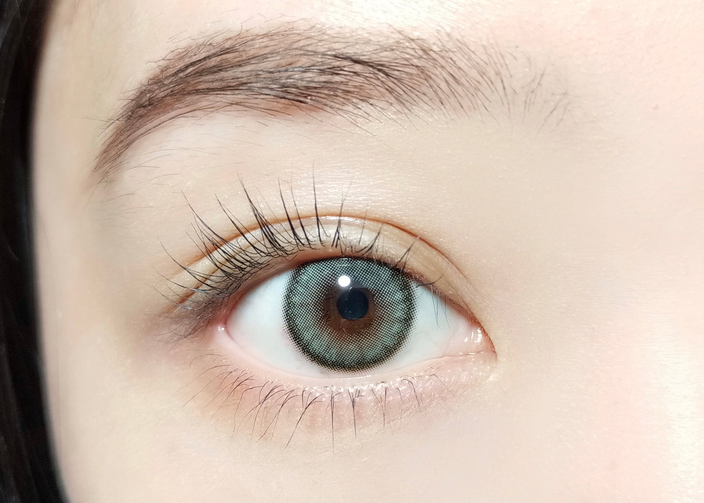 PUDDING BARRIEYES Dawn Olive | 1 Day