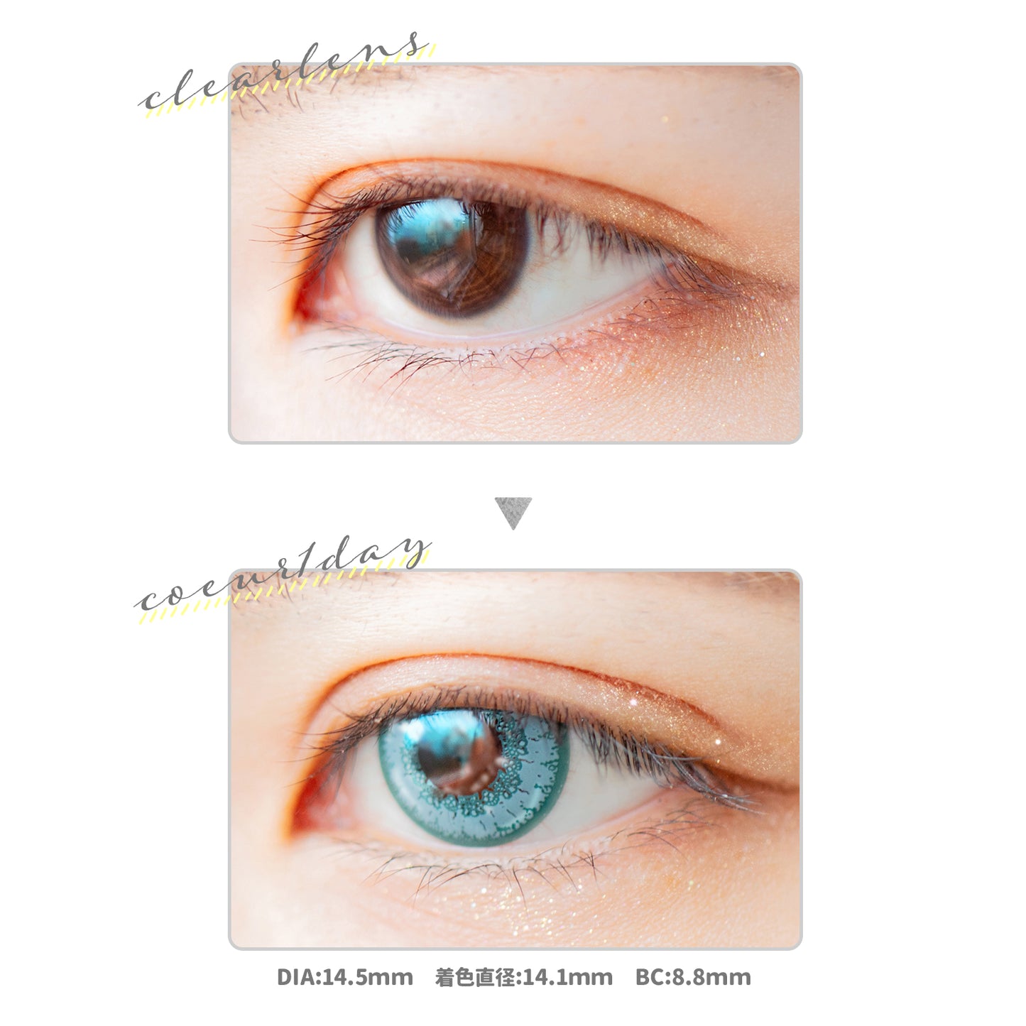 PUDDING Etia Coeur Platinum Blue | 1 Day, 6 Pcs