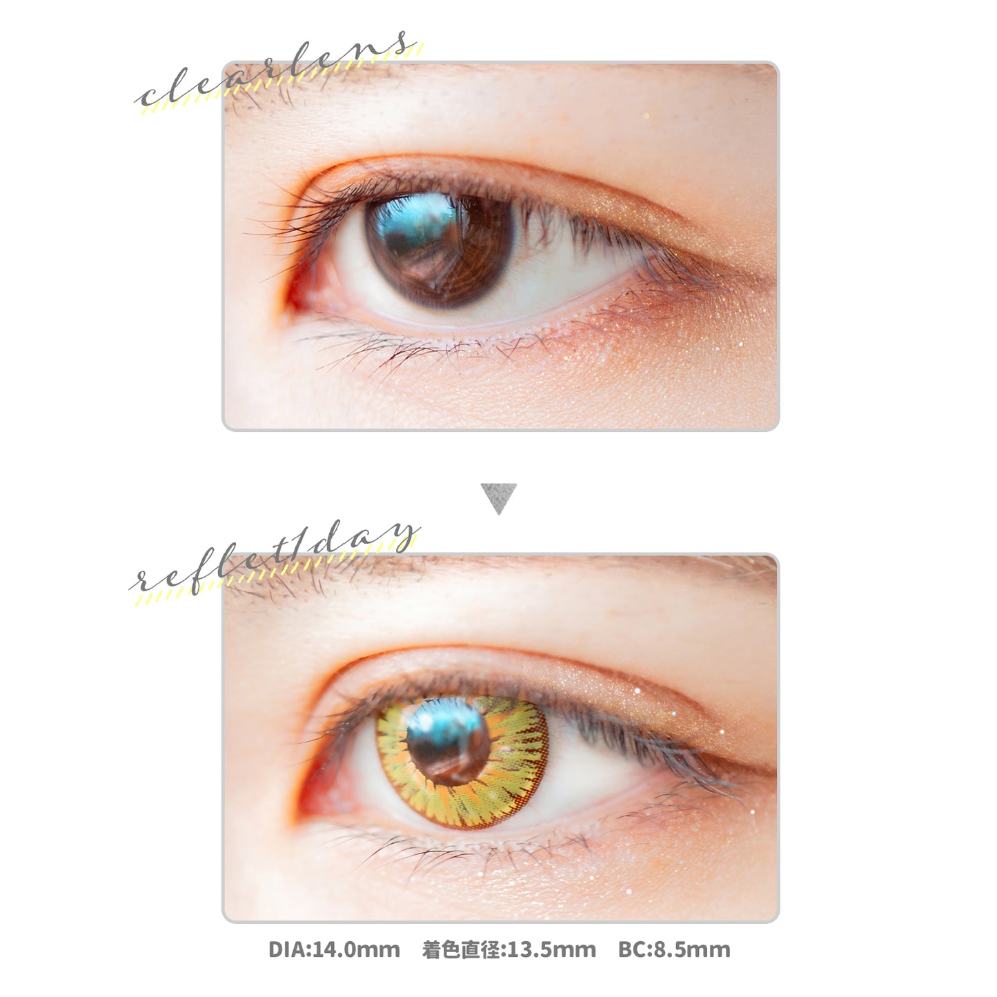 PUDDING Etia Reflet Polaris | 1 Day, 6 Pcs