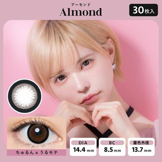 PUDDING Bambi Series Almond | 1 Day