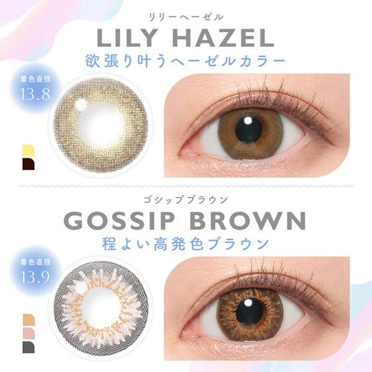 PUDDING Candy Magic Gossip Brown | 1 Day, 10 Pcs