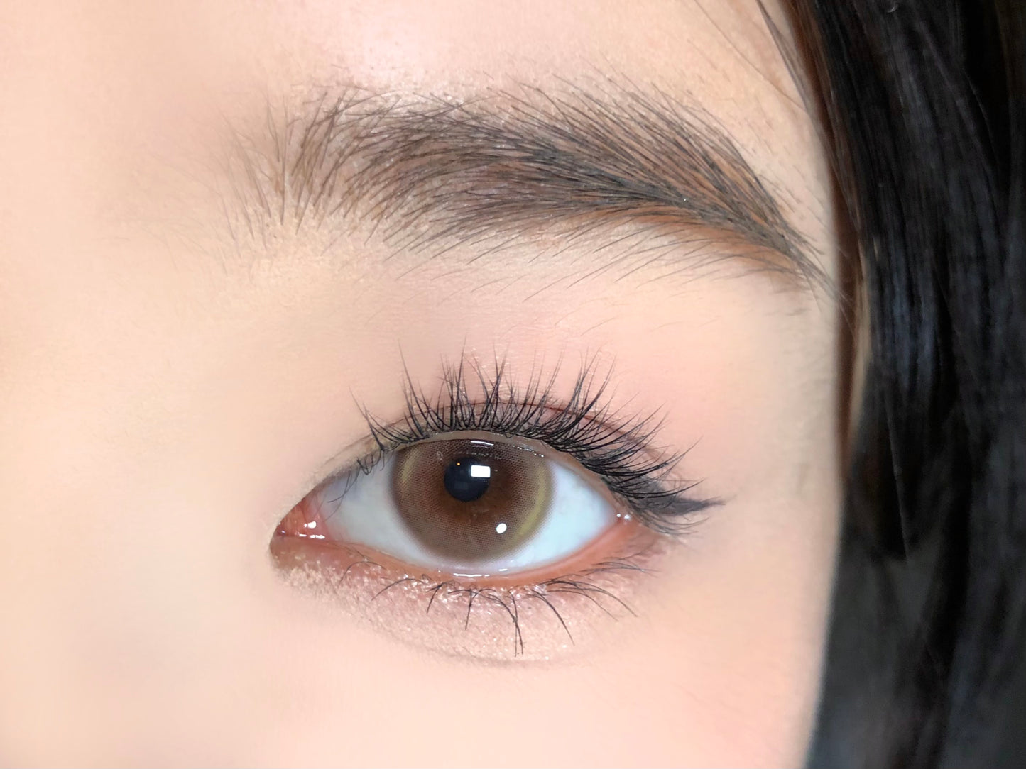 PUDDING BARRIEYES Fairy Brown | 1 Day, 6 Pcs