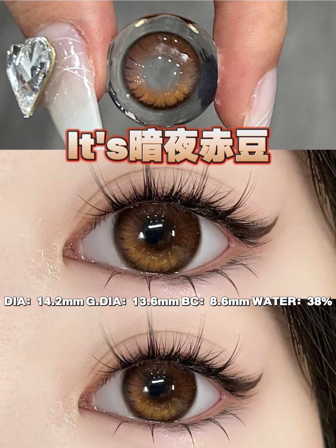 PUDDING Monica Mor Luya Brown 暗夜赤豆 | 1 Year, 1 Pc x 2
