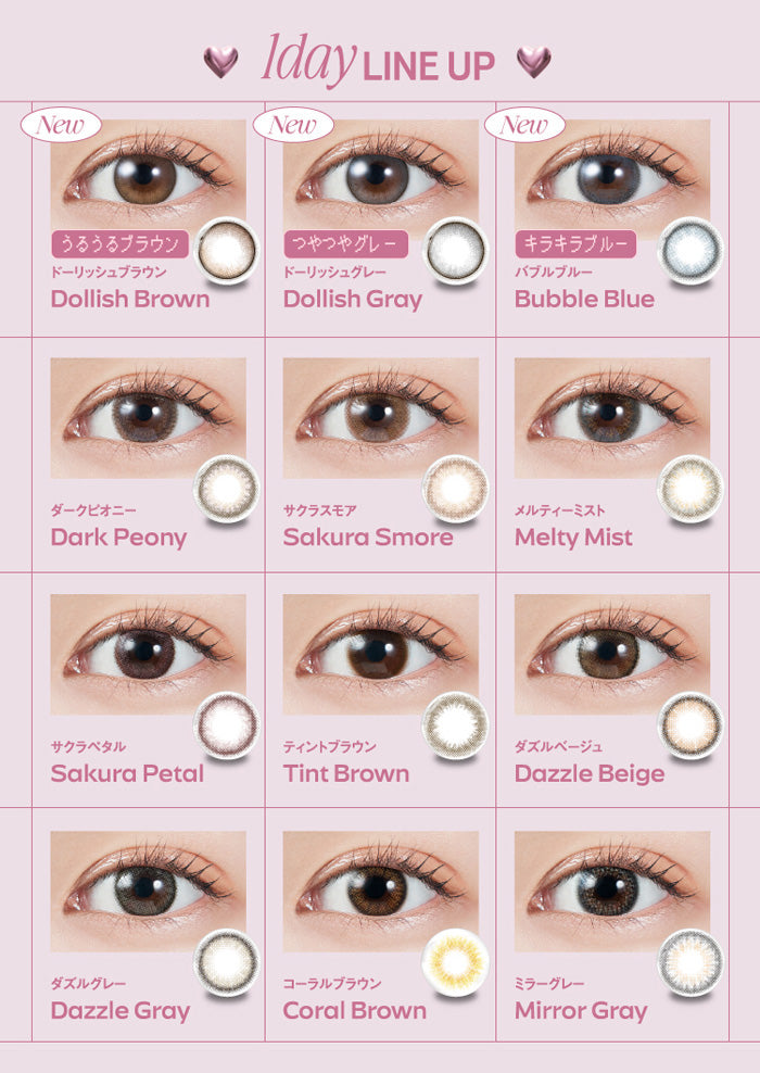PUDDING MOLAK Dollish Brown | 1 Day, 10 Pcs
