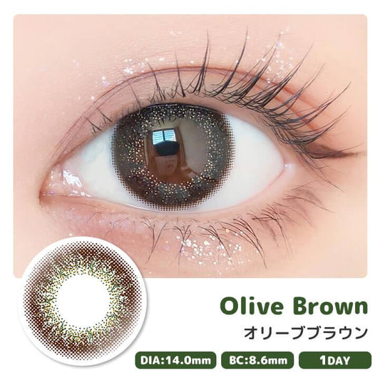 PUDDING envie Olive Brown | 1 Day