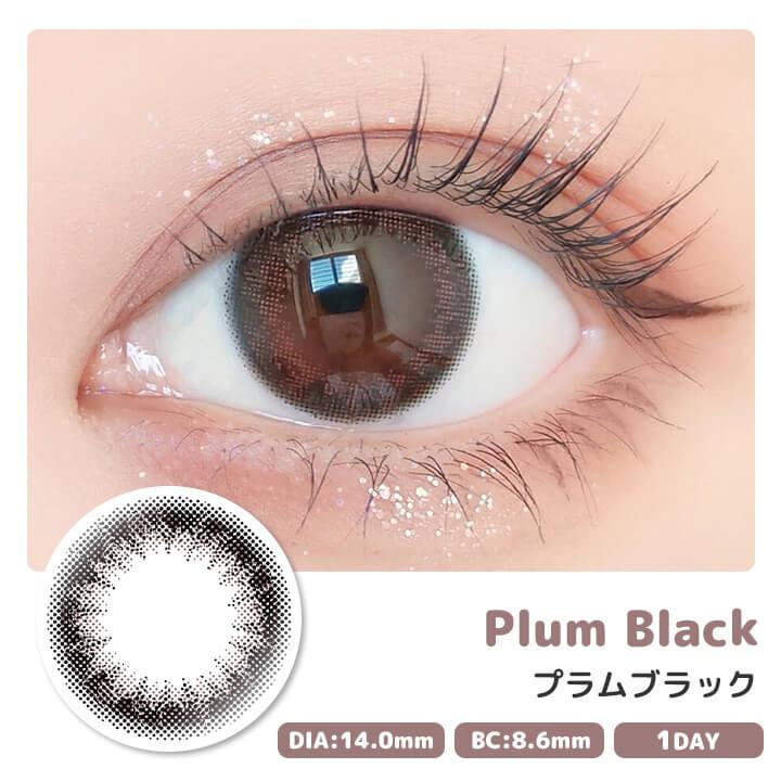 PUDDING envie Plum Black | 1 Day