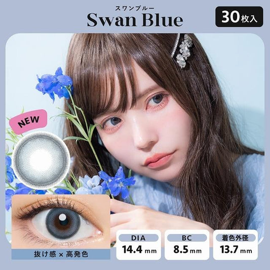 PUDDING Bambi Series Swan Blue | 1 Day